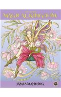 Fairy Coloring