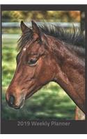 Plan on It 2019 Weekly Calendar Planner - Neigh Neigh Says the Horse