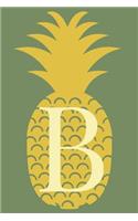 B: Personalized Diet Journal With Weight Loss/Gain Tracker and Daily Meal Planner And Reflection With Pineapple cover