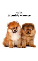 2019 Monthly Planner: Pomeranian Puppies Cover - Includes Major U.S. Holidays and Sporting Events