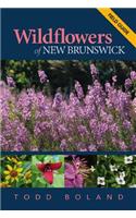 Wildflowers of New Brunswick