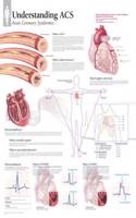 Understanding Acs Wall Chart