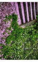 Cherry Blossoms Fallen on Stairs in Japan Journal: Take Notes, Write Down Memories in this 150 Page Lined Journal