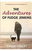 Adventures of Fudge Jenkins