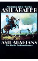 Asil Araber/Asil Arabians IV