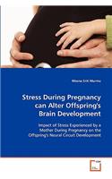 Stress During Pregnancy can Alter Offspring's Brain Development