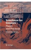 Greenhouse Gas Emissions - Fluxes and Processes