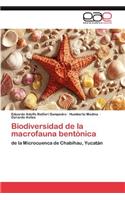 Biodiversidad de la macrofauna bentónica