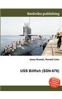 USS Billfish (Ssn-676)