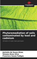 Phytoremediation of soils contaminated by lead and cadmium