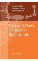 Adhesion of Cells, Viruses and Nanoparticles