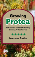 Growing Protea