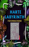 Harte Labyrinthbücher für Erwachsene: 100 Labyrinth-Rätsel für kluge Leute