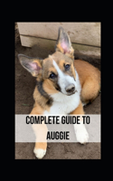 Complete Guide to Auggie