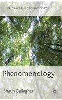 Phenomenology