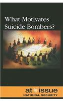 What Motivates Suicide Bombers?