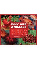 Why Are Animals Red?