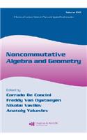 Noncommutative Algebra and Geometry