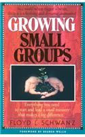 Growing Small Groups