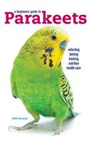 Parakeets