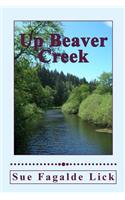 Up Beaver Creek