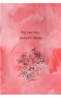 Big Secrets, Brilliant Ideas: Novelty Gift Inspirational Journal for Women, Mom, Daughter, Friends & Coworkers Book Journaling, Notebook to Write In Ideas