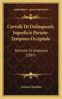 Cervelli Di Delinquenti, Superficie Parieto-Temporo-Occipitale