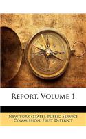 Report, Volume 1