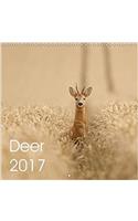 Deer 2017 2017