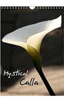 Mystical Calla 2018