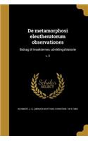 De metamorphosi eleutheratorum observationes