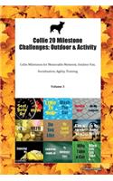 Collie 20 Milestone Challenges: Outdoor & Activity Collie Milestones for Memorable Moments, Outdoor Fun, Socialization, Agility, Training Volume 3