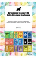 Bergamasco Shepherd 20 Selfie Milestone Challenges Bergamasco Shepherd Milestones for Memorable Moments, Socialization, Indoor & Outdoor Fun, Training Volume 3