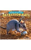 Detection Rats