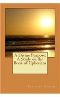 Divine Purpose