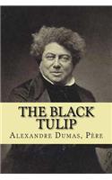 black tulip