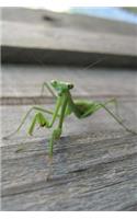 Mind Blowing Green Praying Mantis Journal: 150 page lined journal