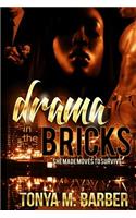 Drama In The Bricks