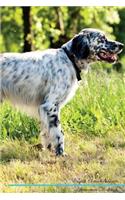 English Setter Affirmations Workbook English Setter Presents: Positive and Loving Affirmations Workbook. Includes: Mentoring Questions, Guidance, Supporting You.