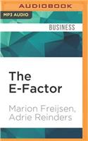 E-Factor