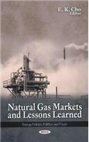 Natural Gas Markets & Lessons Learned