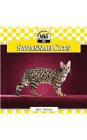 Savannah Cats