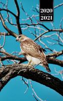 Falcon Hawk Bird Watching Ornithology Week Planner Weekly Organizer Calendar 2020 / 2021 - Lurking in the Trees