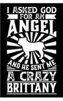 I Asked God For An Angel And He sent Me A Crazy brittany: Personal Planner 24 month 100 page 6 x 9 Dated Calendar Notebook For 2020-2021 Academic Year. Gift Idea for Dog Lover or owner