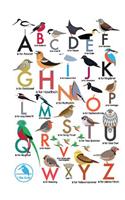 I Like Birds: An Alphabet of Birds Address Book