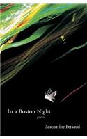 In a Boston Night