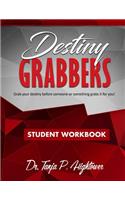 Destiny Grabbers
