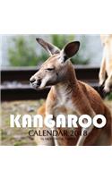 Kangaroo Calendar 2018: 16 Month Calendar