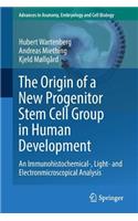 Origin of a New Progenitor Stem Cell Group in Human Development