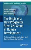 The Origin of a New Progenitor Stem Cell Group in Human Development